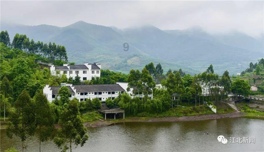 逗小猴开心系列192
