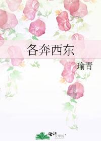 城邦争霸正式中文版